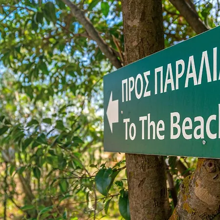 Отель Arco Platanias (Skiathos)