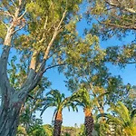 Arco 3* Platanias (Skiathos)