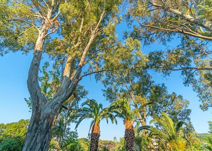 Arco 3* Platanias (Skiathos)